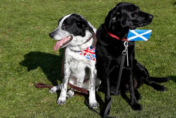 Escocia ya es ciberindependiente