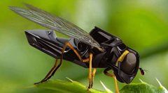 Walmart ha patentado abejas robóticas para polinizar plantas.