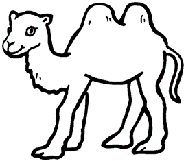 “El camello es un caballo de comité” Peter Drucker 