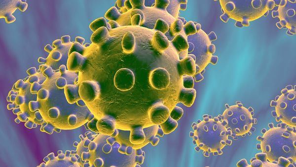 Impacto del coronavirus para los editores