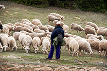 Los buenos líderes saben permanecer detrás (Leading from behind)